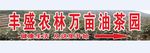 丰盛万亩油茶园