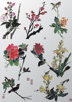 国画 花