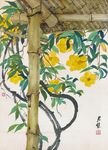 竹棚黄花