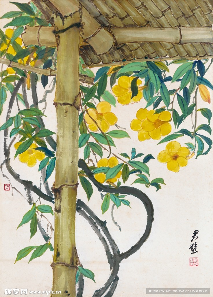 竹棚黄花