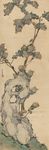 花石工虫