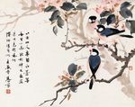 桃花山雀