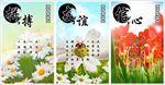 拼搏友谊信心中国风花卉清新海报