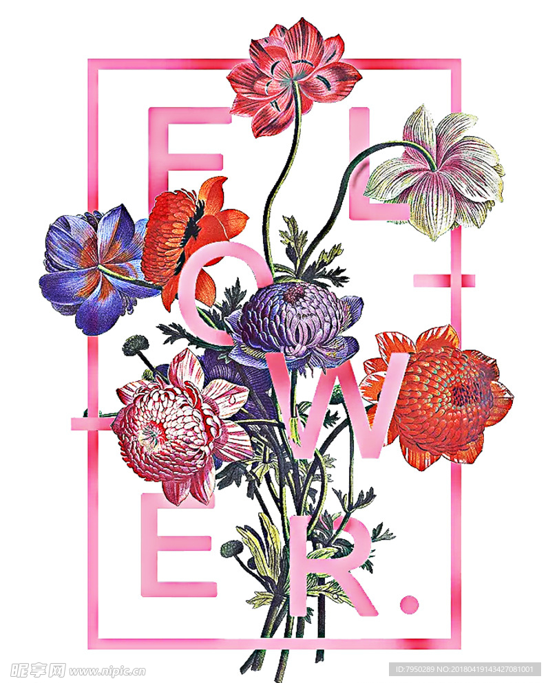 插画