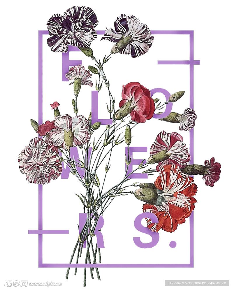 插画