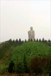 中原大佛