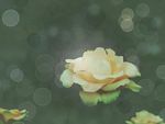 绽放花朵装饰底图