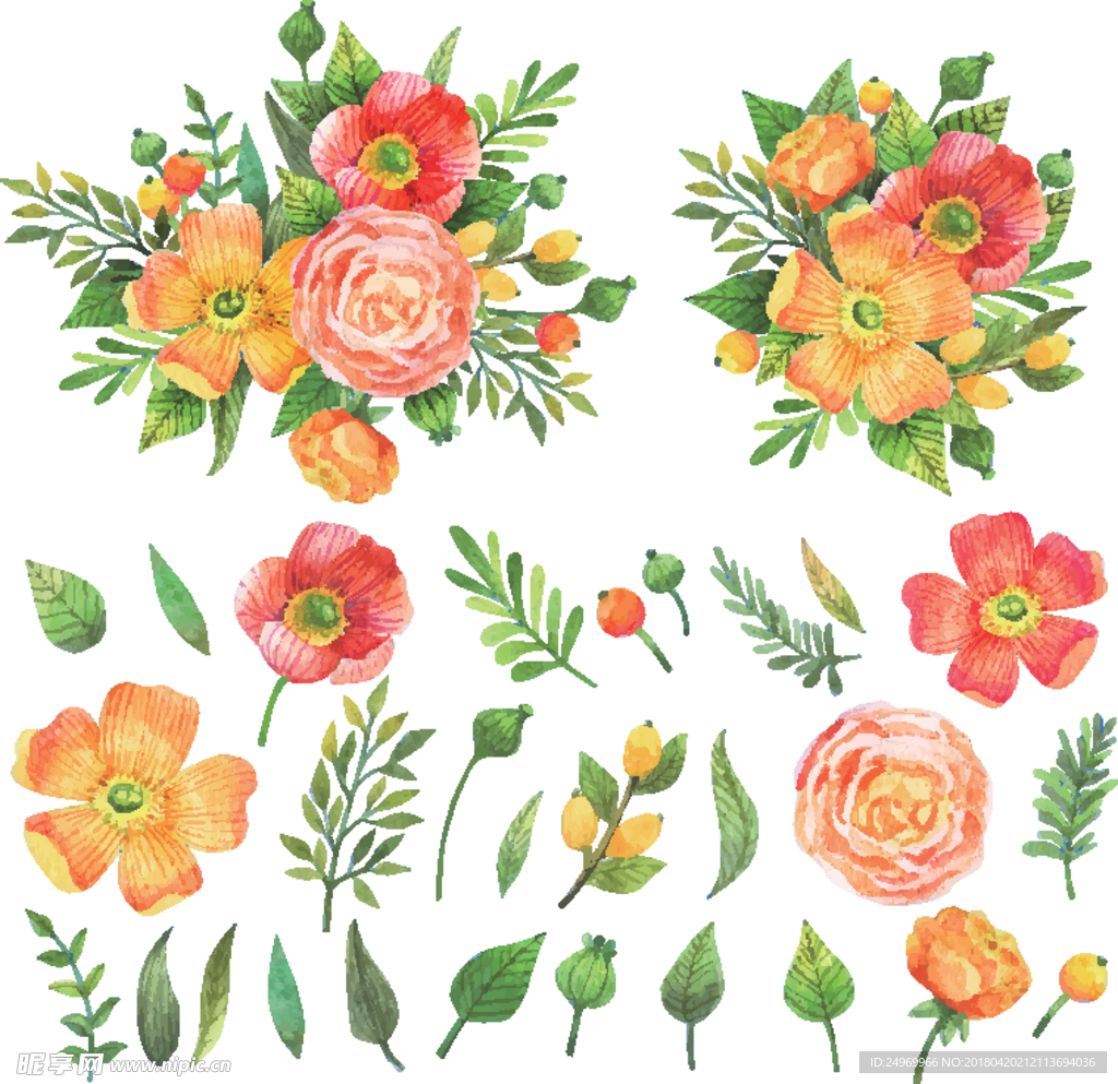 花卉插画