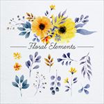 花卉插画