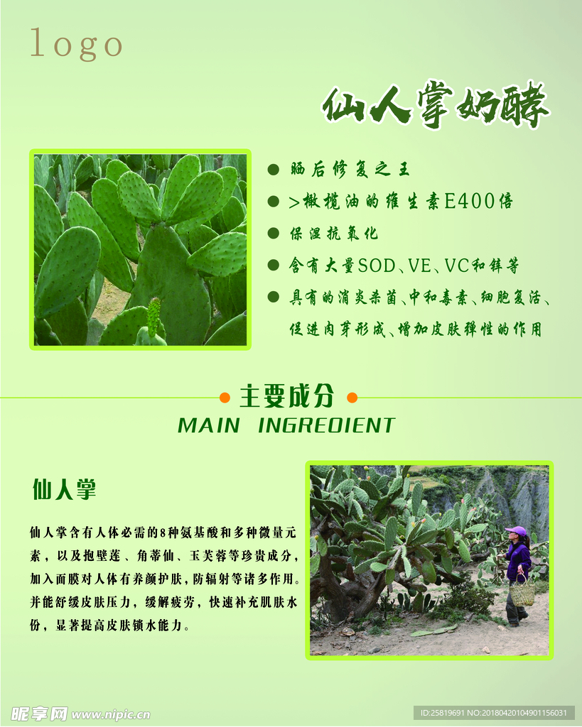 仙人掌