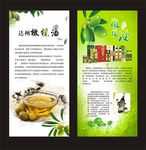 橄榄油