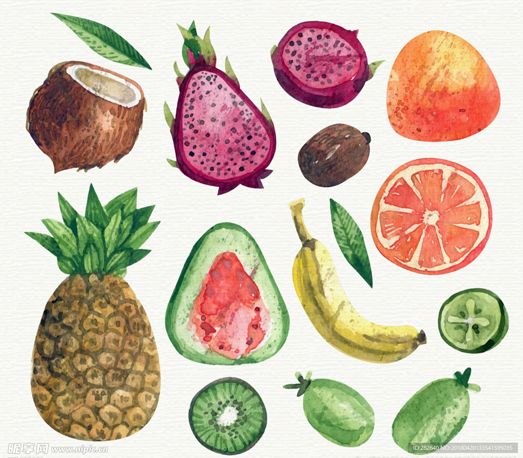 13款水彩绘水果矢量素材