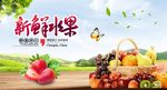 绿色生态水果