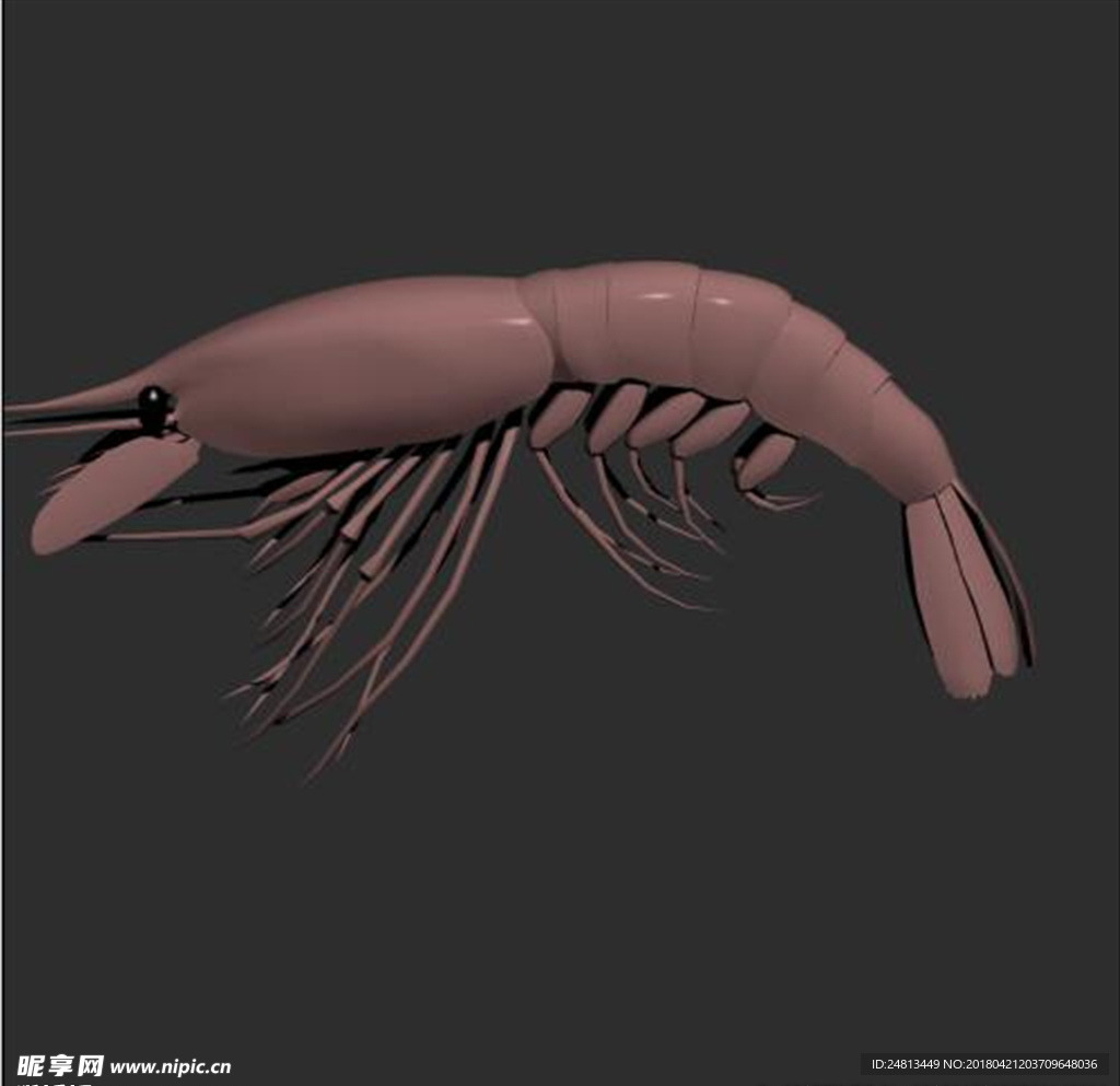 海虾
