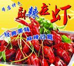 龙虾海报