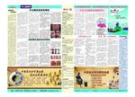 DM杂志