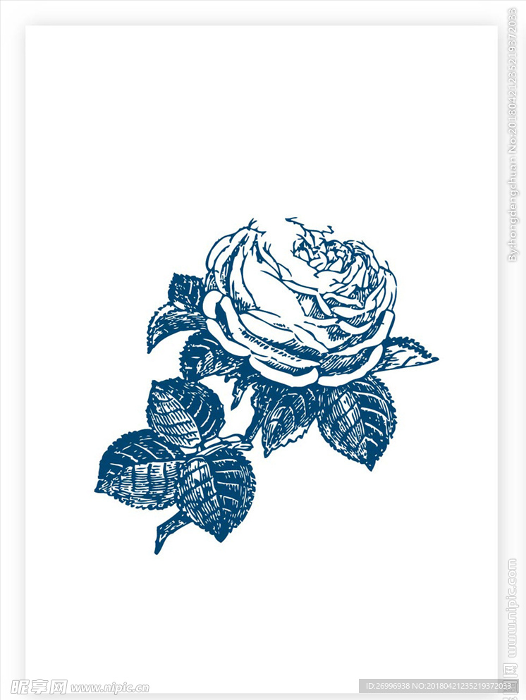 欧式花纹图片