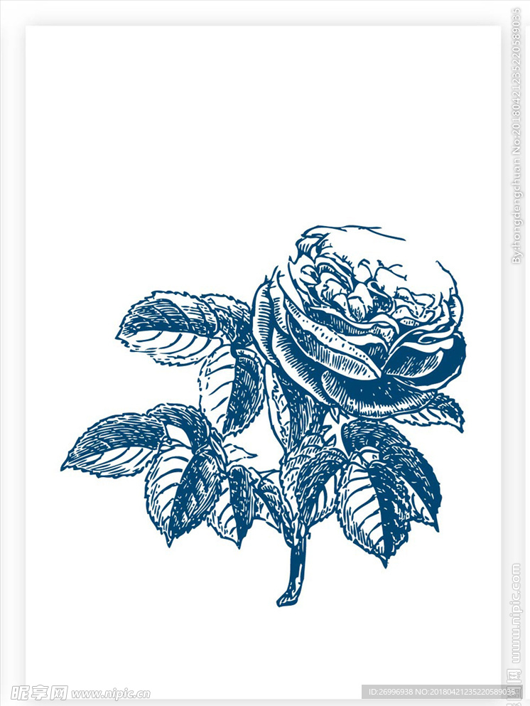 欧式花纹图片