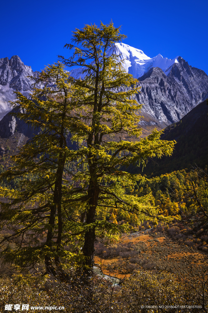 亚丁风景