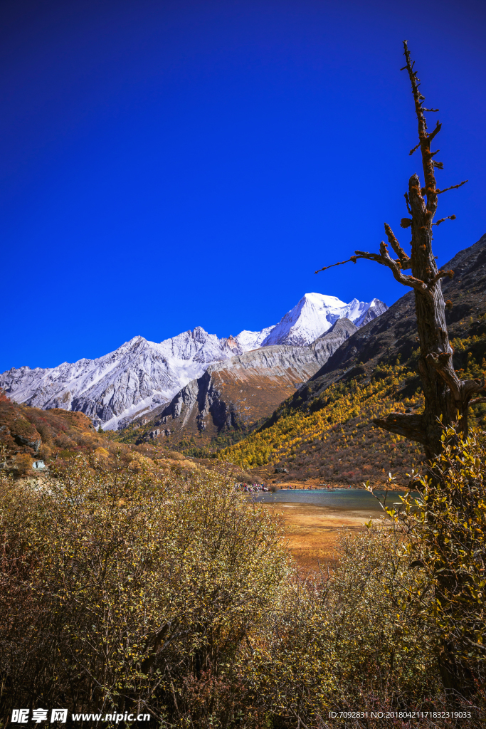 亚丁风景