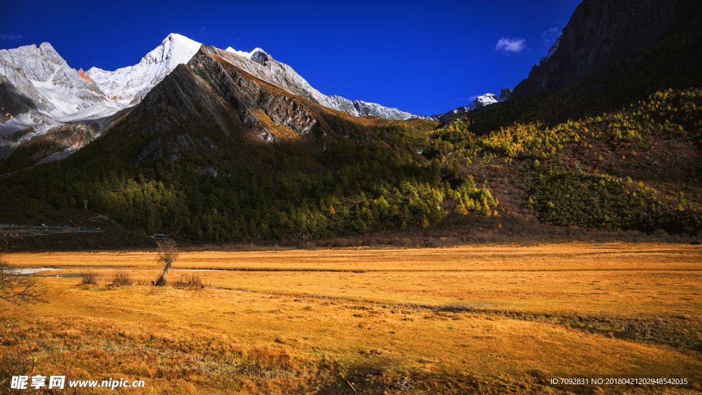 亚丁风景