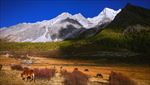 亚丁风景