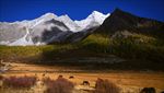 亚丁风景
