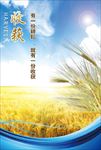 企业文化挂图