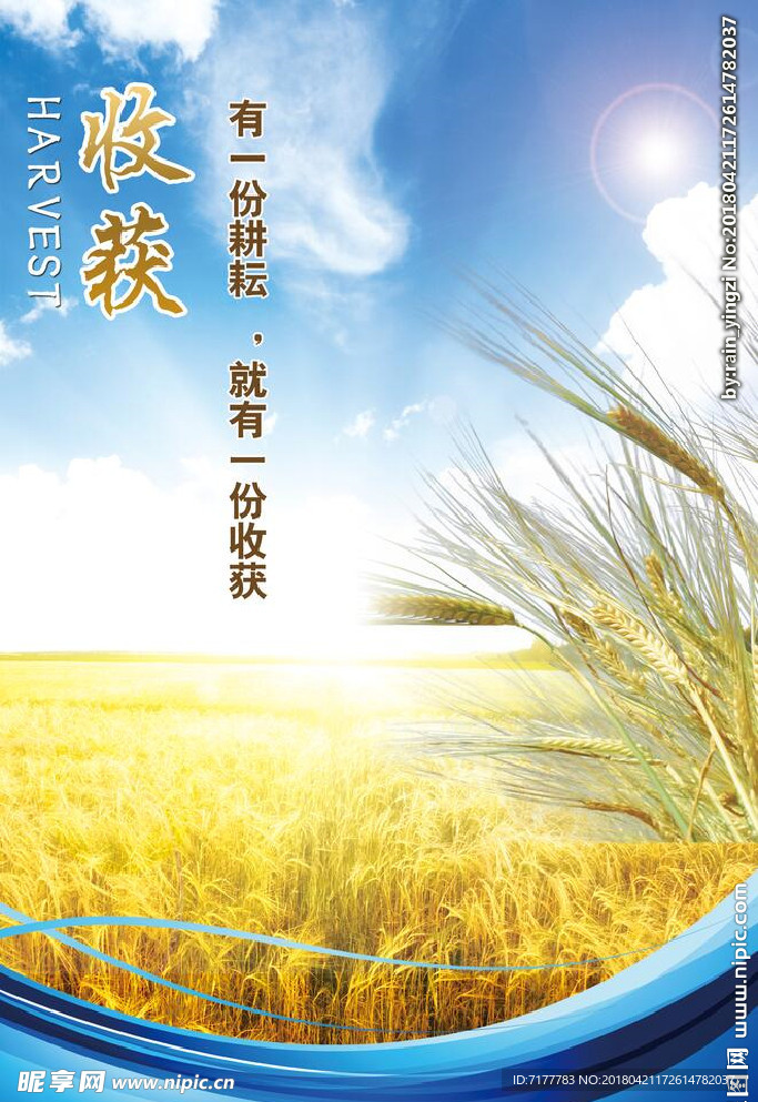 企业文化挂图