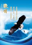 企业文化挂图