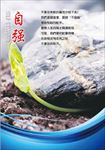 企业文化挂图
