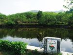 池塘