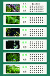 24节气