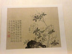 花鸟