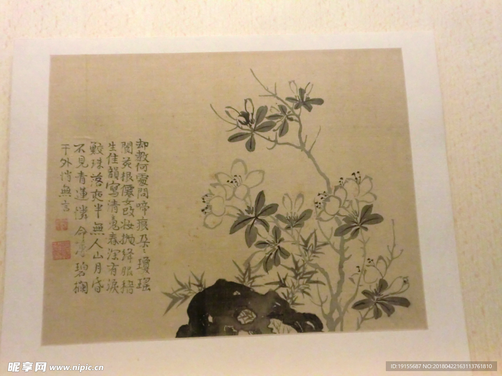 花鸟