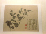 花鸟画