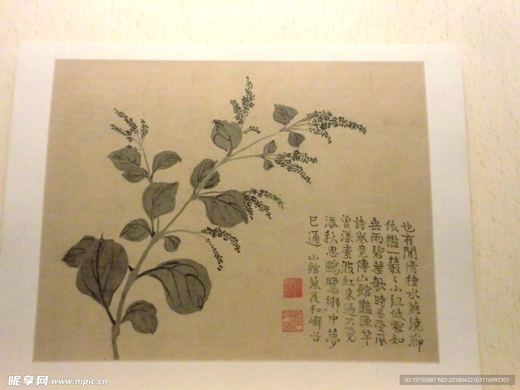 花鸟画