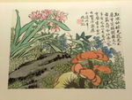 花鸟画