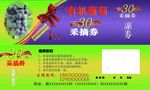 30采摘券
