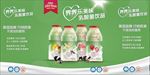 乳酸菌绿色背景