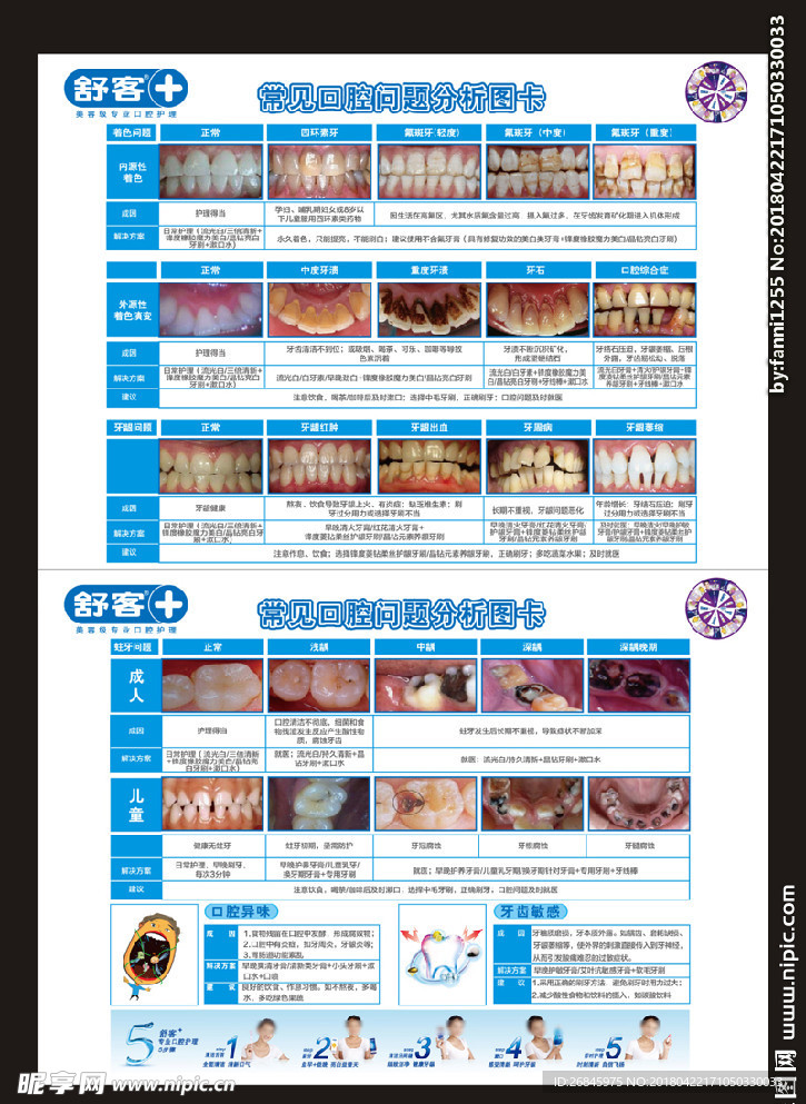 常见口腔问题牙齿问题彩页