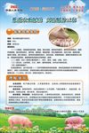 能繁母猪养殖保险海报