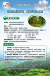 森林种植保险海报
