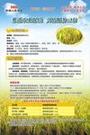 水稻种植保险海报