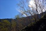 长白山