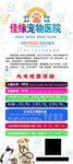 宠物医院海报