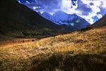 亚丁风景