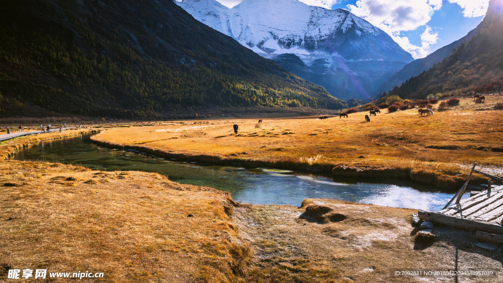 亚丁风景