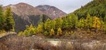亚丁风景