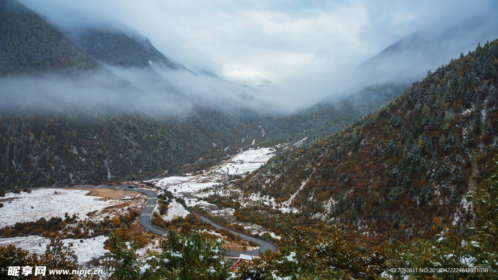 大山云雾